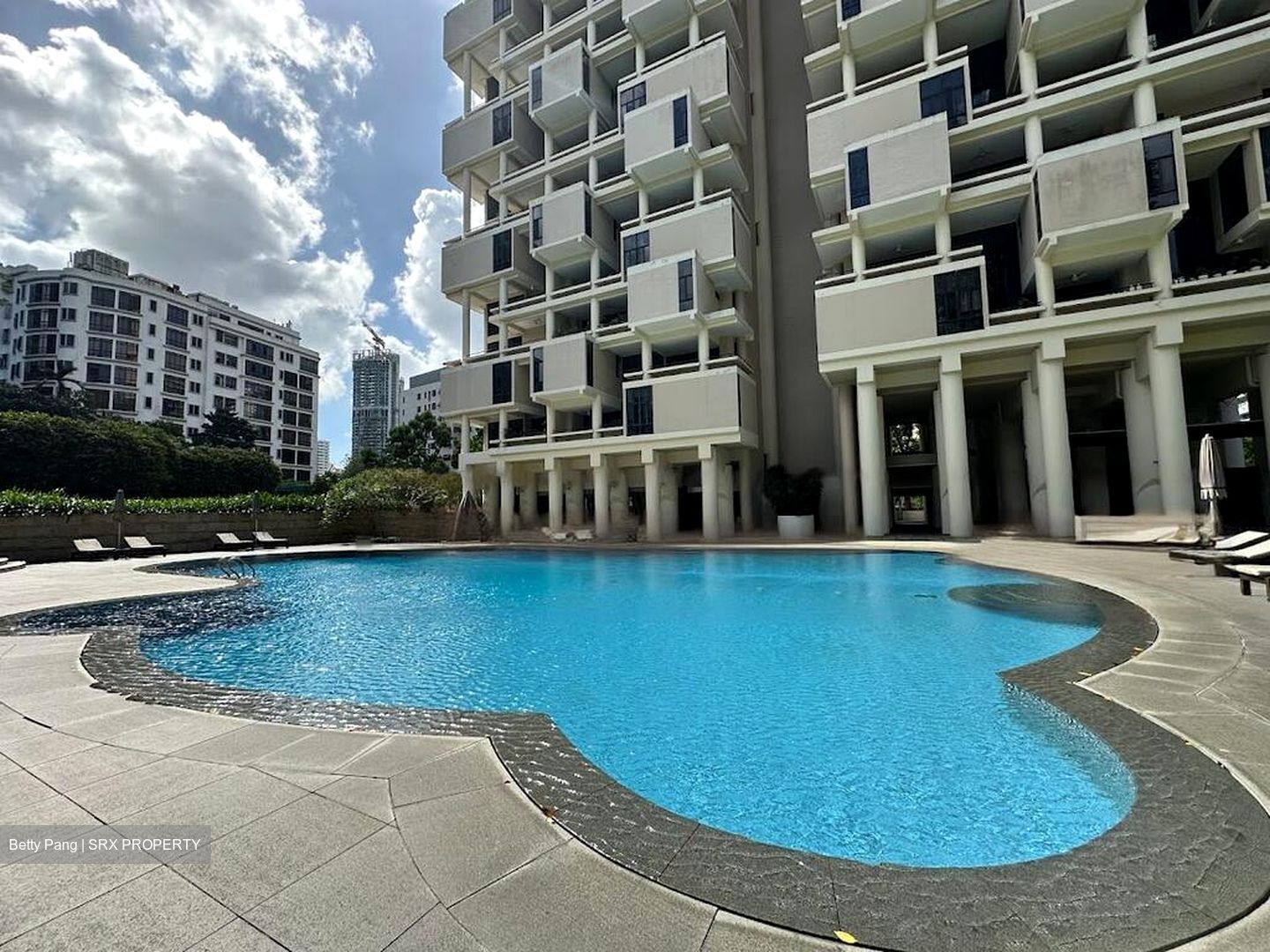 The Colonnade (D10), Condominium #460327041